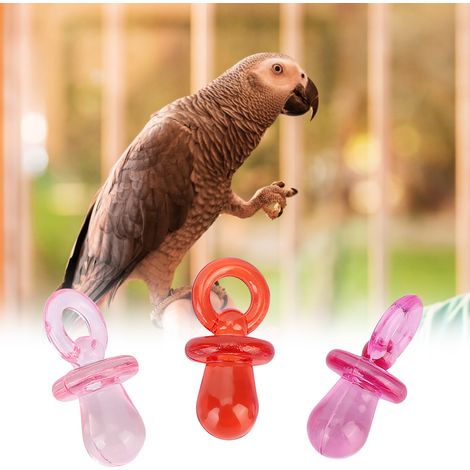 Ensemble de 50 accessoires pour perroquets : tétines colorées en plastique à mâcher, à monter soi-même.