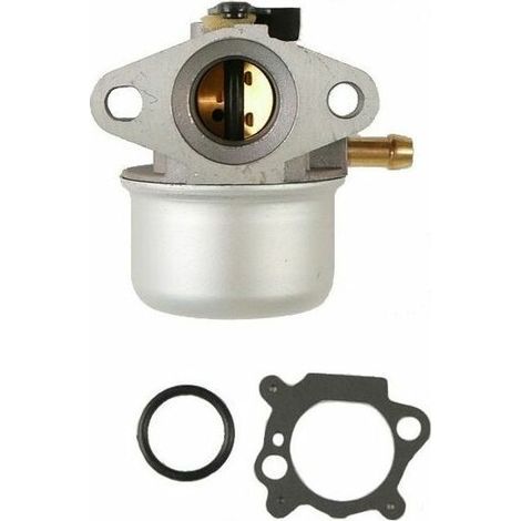 Carburateur moteur Briggs et Stratton - 498170 (1/4)