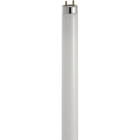 Lampada fluorescente lineare 18/w11-865 beghelli