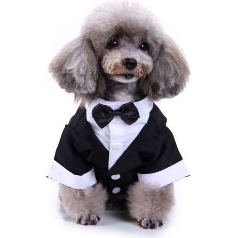 Chemises pour chien pour mariage, smoking pour chiot, tenue de cérémonie pour chien, smoking pour chien, costume et cravate (noir)