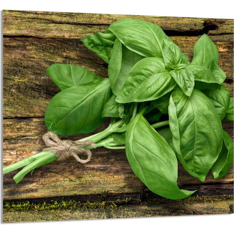 PANNELLO IN VETRO PER CUCINA 65x60 Basilico (1/5)