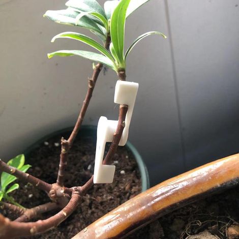 Lot de 60 pinces de dressage végétal 360° réglables, tuteurs de branches flexibles pour plantes, outils de jardinage blancs. (1/5)