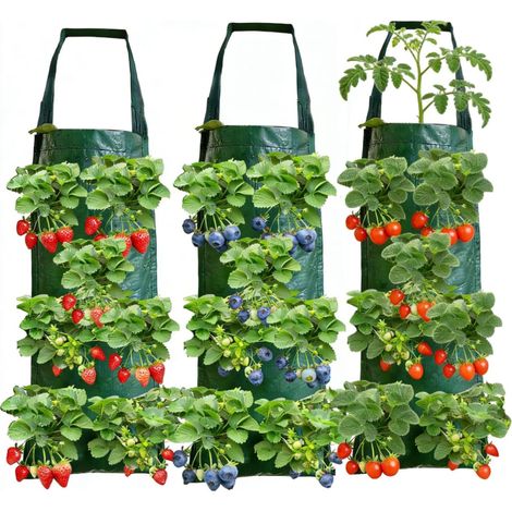 3 Pièces Sac de Plantation pour Fraise Sacs de Culture à Fraises Suspendu avec 8 Trous Sac de Culture Potager pour Légumes Fleurs (1/5)