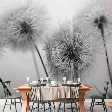 Tapete artgeist Time For Dandelions selbstklebend 250x175 cm