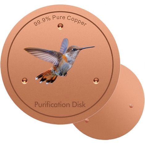 Disque métallique pour bain d'oiseaux, support nettoyage eau triple point 10 cm, sans danger animaux, pour fontaine ferme jardin pelouse terrasse (1/5)