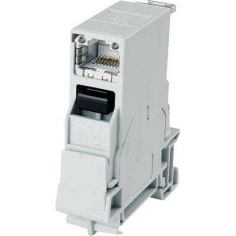 Telegärtner 100007437 Connettore per guide portanti RJ45 100007437 Giunto da pannello Poli: 8P8C Grigio luminescente 1 (1/5)