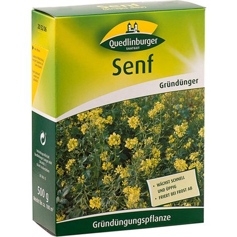 Quedlinburger Gründünger Weißer Senf Sinapis für ca. 100 m² 500 g - Faltschachtel