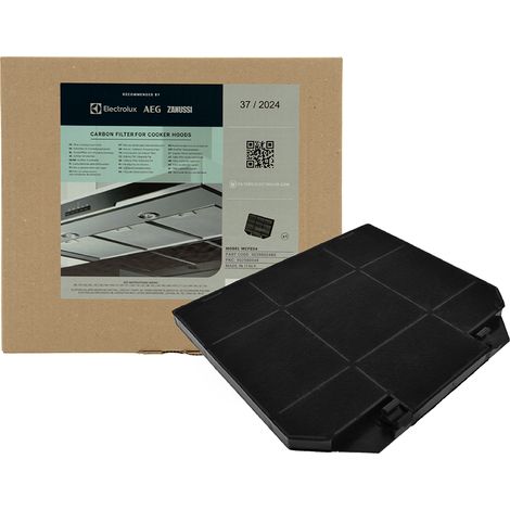Filtro de carbón Arthur Martin 9029793636 / EFF72 / E3CFF72 (1/5)