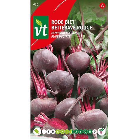 Betterave Rouge Plate D'Égypte - Ca. 5 gr (Livraison Gratuite)