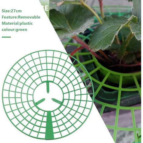 Lot de 10 supports à fraises en plastique vert, supports de culture pour fraises, supports de jardinage, supports pour la culture de légumes sur balcon