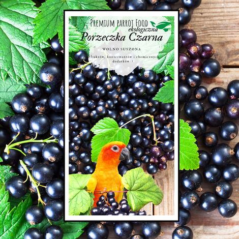 Cibo Premium per pappagalli - Ribes nero biologico - per tutti i pappagalli 100 g (1/4)