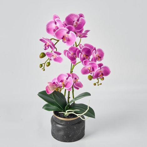 Plante Orchidée Artificielle au Toucher Réel – Faux Phalaenopsis de 50,8 cm en Pot – Texture de Fleur d'Orchidée et Feuille en Soie Très Réaliste pour la Maison, le Bureau, la Boutique et la (1/5)