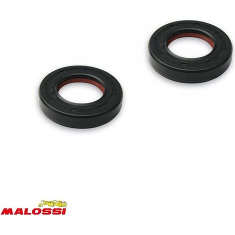 Dichtung spi Motor malossi für Motorrad aprilia 50 rx 2007 bis
