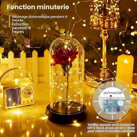 LED Fairy Lights, 10 m 100 LED Fairy Lights with Timer Copper Wire for Indoor Outdoor Use, Bedroom, Party, Christmas, Halloween, Wedding, Decoration (1/4)