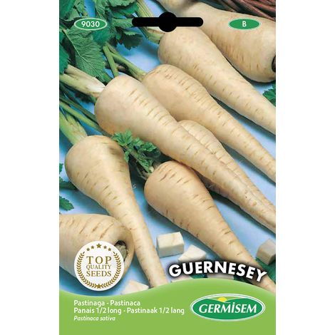 graines Panais 1/2 long GUERNESEY