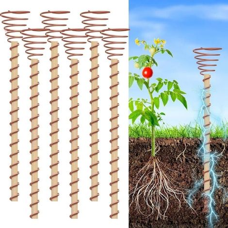 Lot de 6 tuteurs d'électroculture de 30,5 cm, longs tuteurs de jardin en cuivre, antennes de jardinage à bobine de cuivre pour électroculture, tuteurs de jardin en cuivre pour la culture de plantes po (1/4)