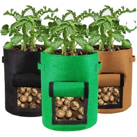 ZVD Lot de 3 sacs de culture de 10 gallons pour la culture de pommes de terre, de carottes, de fraises, de tomates et de fleurs (1/4)