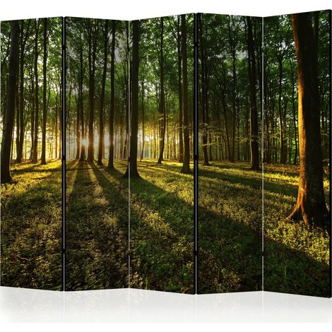 Paravento - Morning in the Forest II [Room Dividers] - 225x172 (1/4)