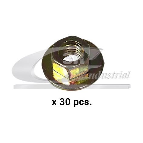 3RG 86127 TUERCA M6 (PACK 30 PCS)