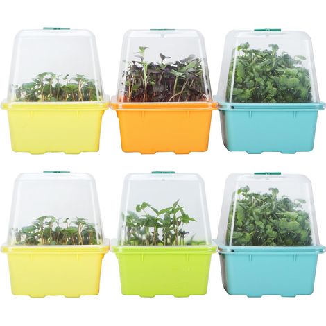 Microgreens Grow Trays with Lid and Moisture Dome, Large 3mm Holes BPA Free - Sunflower and Mung Bean Germination Kit - Pack of 6 (1/5)