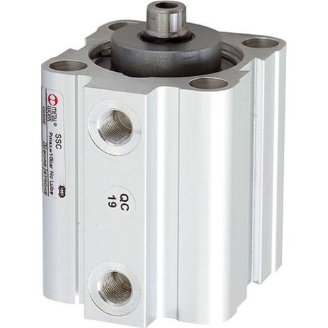 [NEUWERTIG] B-Ware Riegler Kurzhubzylinder Doppeltwirkend Magnetzylinder Kolben 63mm Hub 70mm G18 (1/2)