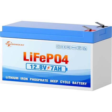 Batterie LiFePO4 12V 7Ah batterie au lithium 12v avec plus de cycles profonds et protection BMS pour éclairage de secours, camping, systèmes d'énergie (1/5)
