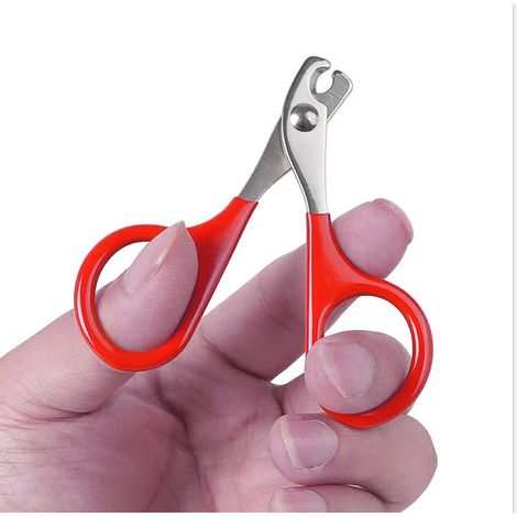 Ciseaux à ongles pour chat coupe-ongles pour chien de compagnie tondeuse à griffes d'orteil produits de toilettage professionnels pour petits chiots CatRed