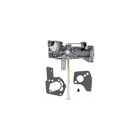 Carburateur avec kit de joints de carburateur, adapté au carburateur de remplacement 498298 692784 495951 495426 (1/4)