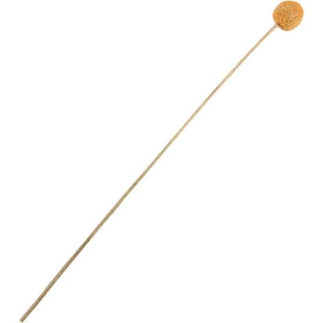 40 fleurs de Craspedia séchées en forme de boutons -- (1/5)