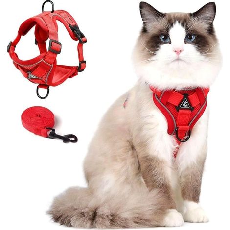 Harnais réfléchissant et anti-évasion pour chat et petit chien, taille M (1/5)