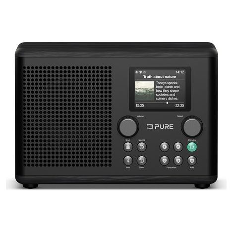 Pure 254585 radio