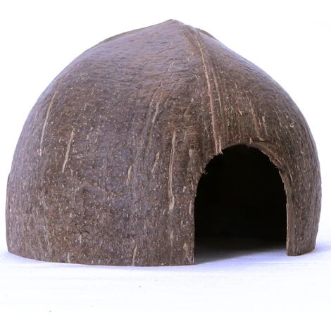 Terrario CocoCave L - mezza noce di cocco liscia (1/5)