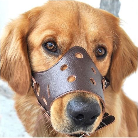 Antibell-Maulkorb aus Leder für große Hunde – Größe L für 20–37 kg – Umfang 23–26 cm – Komfort und Sicherheit garantiert (1/5)