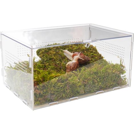 Kit de terrarium pour escargots avec accessoires d'escalade - 29 x 20 x 15 cm (L x l x H) - Maison transparente pour petits animaux pour escargots, chenilles et petites créatures - Comprend (1/5)