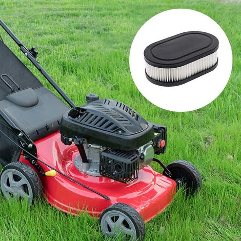 Filtre à cartouche pour purificateur d'air 593260 pour tondeuse à gazon Briggs & Stratton (1/4)