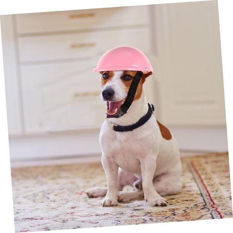 Casque de Chien, Casquette de débarras Casques Mignons Doux Chapeau de sécurité rembourré Chiot Lunettes pour Animaux de Compagnie Chien Lunettes de Soleil pour Chat et Petits Chiens (1/5)