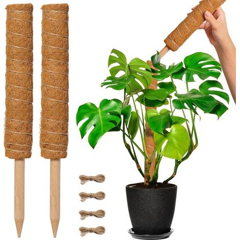 Tuteurs en fibre de coco très populaires, supports pour plantes grimpantes, pothos, monstera, palmiers, supports de jardinage, supports à fleurs (1/5)