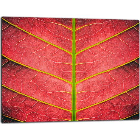 Tablero de corte de placa de vidrio 52x40 hoja de flores (1/5)