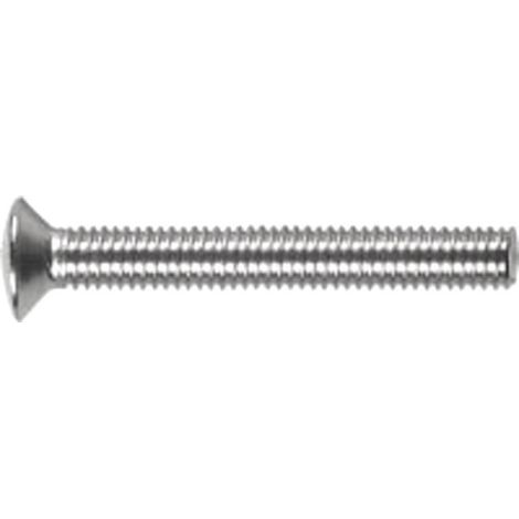 Vis M6x100mm, acier inoxydable (1/2)