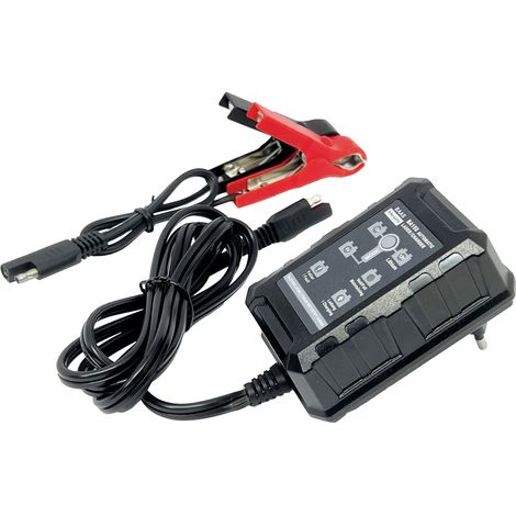 BAAS BA150 BA150 Automatikladegerät 6 V, 12 V