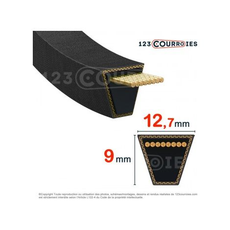 Courroie section 12,7x9 1000Lp 874097C1