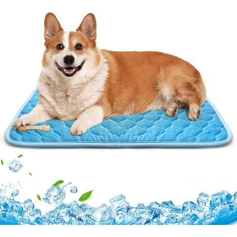 Tapis rafraîchissant 70 x 55 cm pour chiens et chats. Non toxique et auto-rafraîchissant. Idéal pour les chiens et chats en été. Lavable et facile à nettoyer. (1/5)