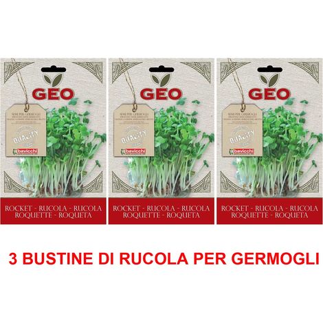 3 CONFEZIONI DI SEMI BIO DI RUCOLA PER GERMOGLI 30GR