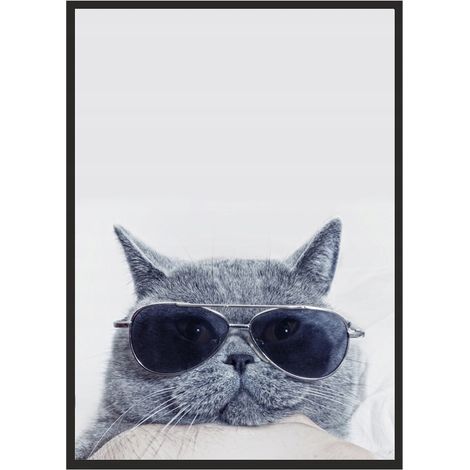 CUADRO, PÓSTER ENMARCADO 33x43 cm Gato P503 (1/4)