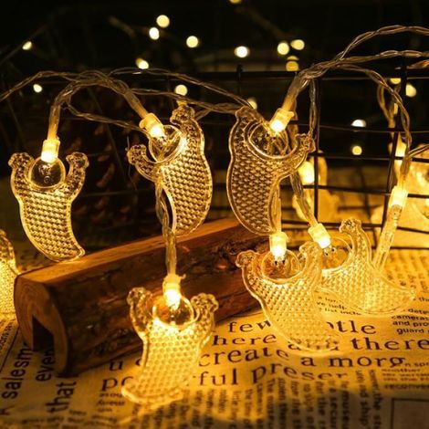 Guirlande lumineuse - - 6m - 40 LED - Blanc - Décoration intérieure et extérieure (1/4)