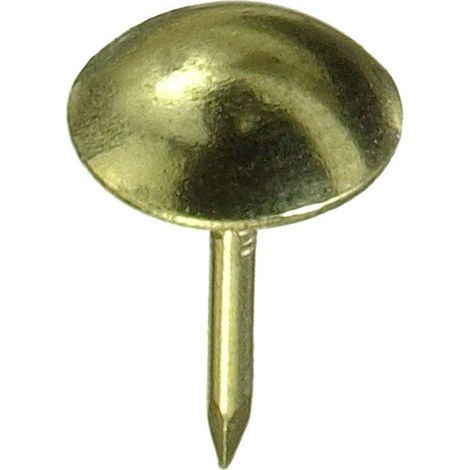 Connex Polsternägel Ø 8,0 x 12,5 mm Polsternägel