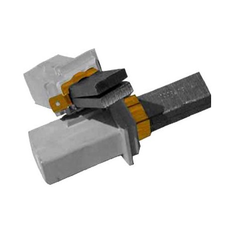 Charbons pour moteur VACUFLO V580
