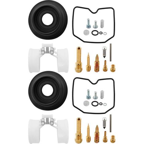 52-Piece Carburetor Repair Kit Complete Replacement Carburetor Rebuild Kit for ER500 ER-5 1998-2005 (1/4)