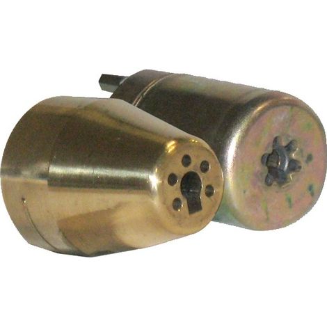 Jeu de cylindre CAVERS IZIS pour serrure cambrée A2P3 - ISEO - 56290061 (1/5)