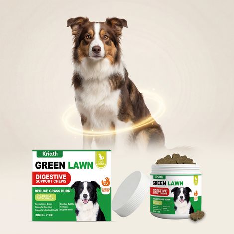 Formule douce pour chiens, facile à administrer, adaptée à l'alimentation quotidienne – 200 g (1/5)